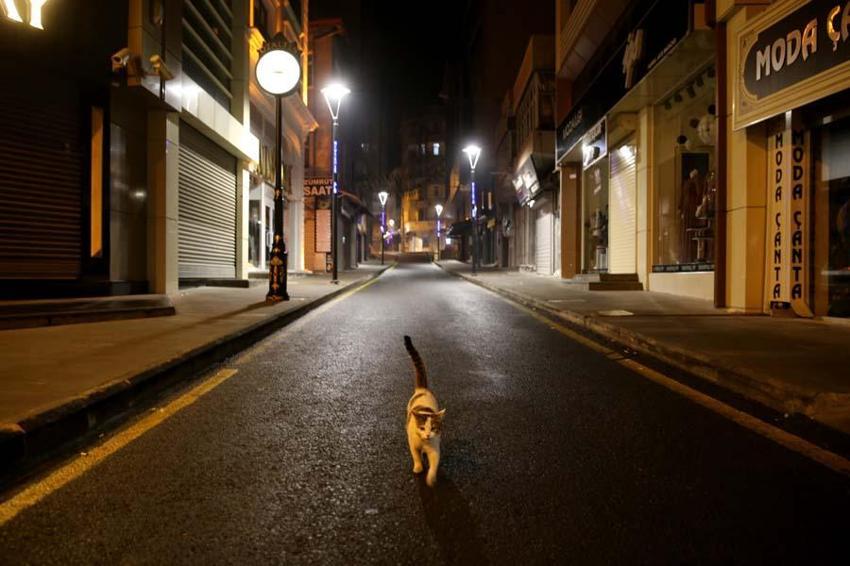 Sokağa çıkma yasağı ile ilgili yeni gelişme! 81 ile yazı gitti, onlara da izin çıktı...