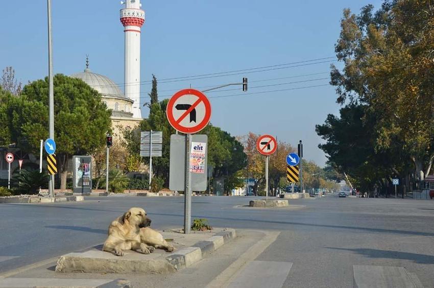 Sokağa çıkma yasağı ile ilgili flaş gelişme! Bakanlık duyurdu...