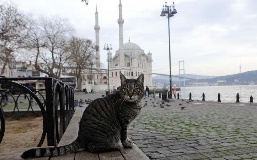 Sokağa çıkma yasağı ile ilgili flaş gelişme! Bakanlık duyurdu...
