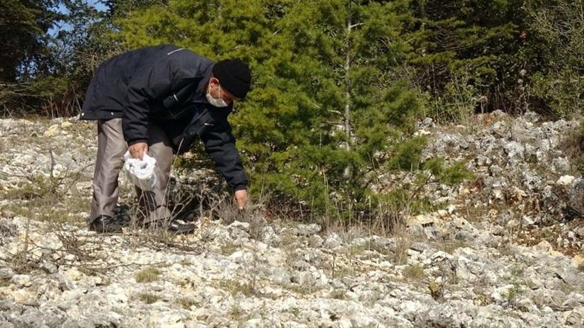 Kemal Sunal filmi gerçek oldu! 'Şifacı' önünde kuyruk oldular...