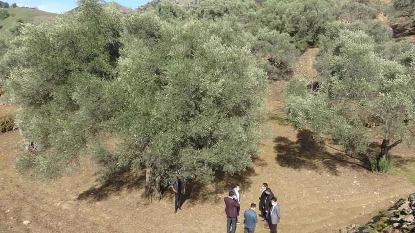 Türkiye'nin ikinci büyük keşfi: Kolezyum benzeri 1800 yıllık antik dövüş alanı