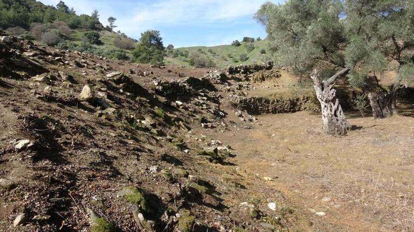 Türkiye'nin ikinci büyük keşfi: Kolezyum benzeri 1800 yıllık antik dövüş alanı