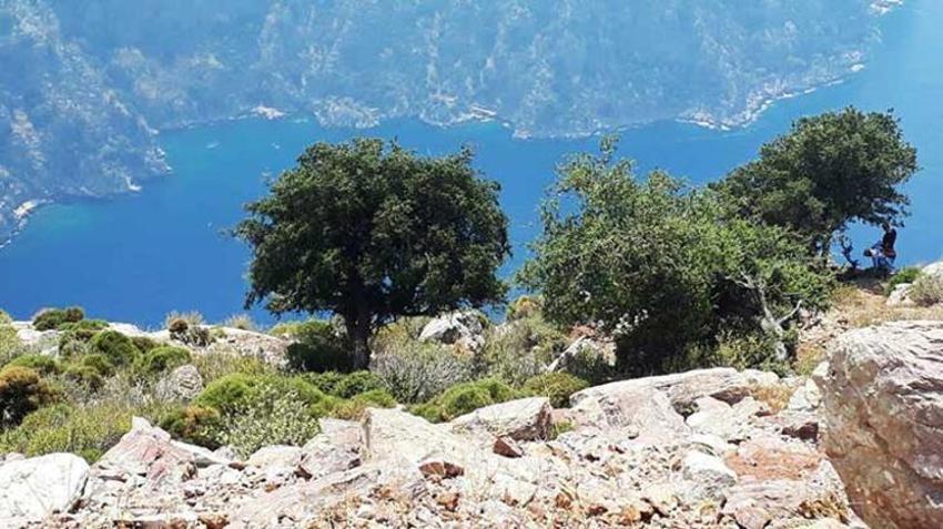 Semra Aysal’ın olay öncesi görüntüleri çıktı! "Bu adam ya kadını atacak ya da..."