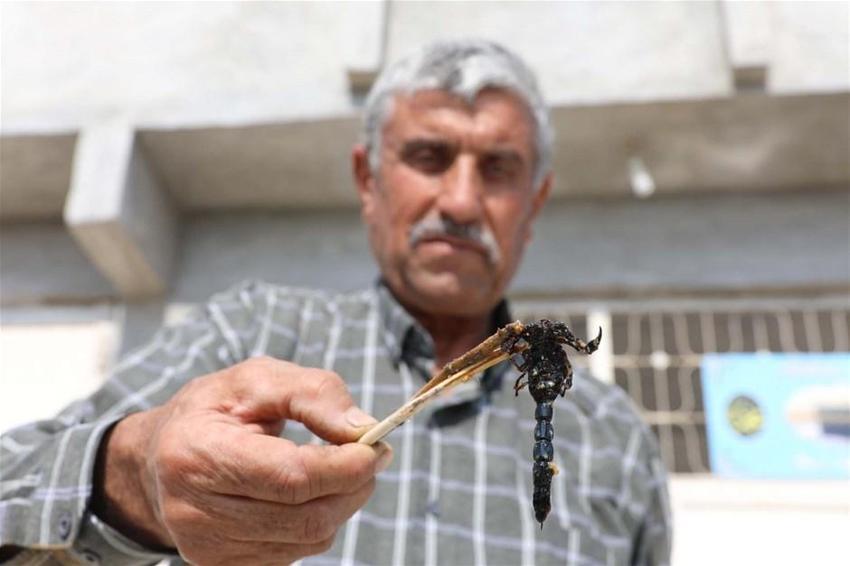 21 yıldır bunu yapıyor! İlk defa eşine uyguladı, zeytin yağı ile karıştırıp...