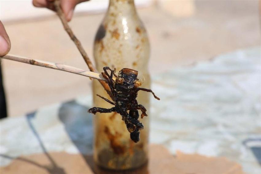 21 yıldır bunu yapıyor! İlk defa eşine uyguladı, zeytin yağı ile karıştırıp...