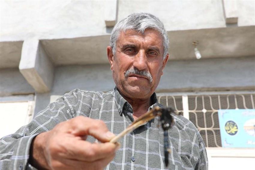21 yıldır bunu yapıyor! İlk defa eşine uyguladı, zeytin yağı ile karıştırıp...