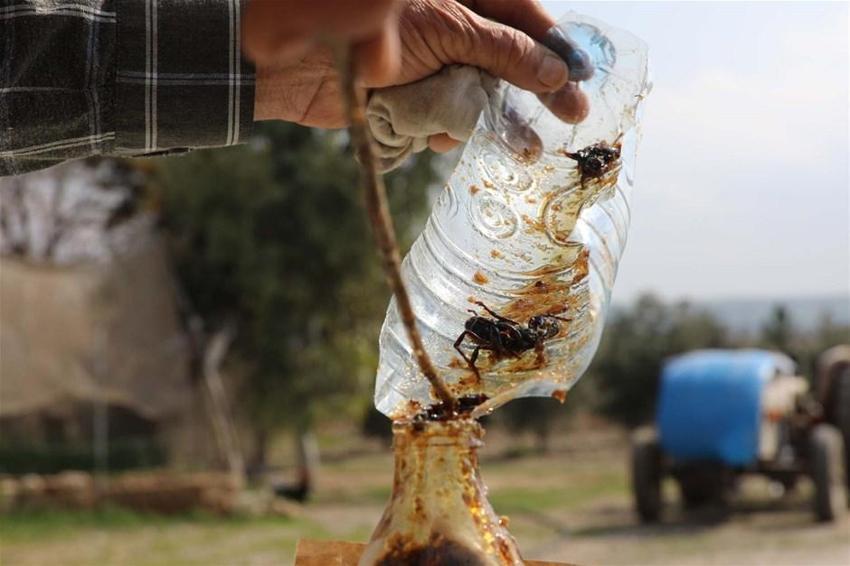 21 yıldır bunu yapıyor! İlk defa eşine uyguladı, zeytin yağı ile karıştırıp...