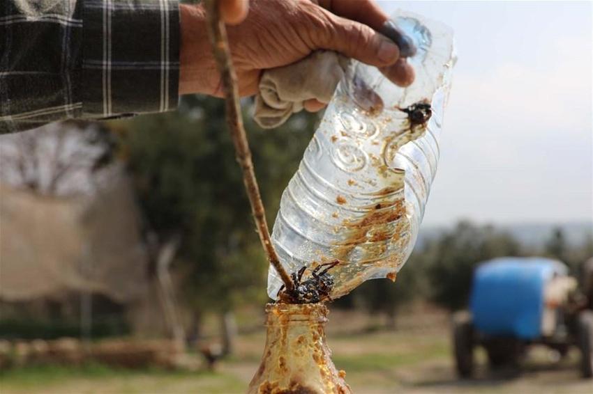 21 yıldır bunu yapıyor! İlk defa eşine uyguladı, zeytin yağı ile karıştırıp...