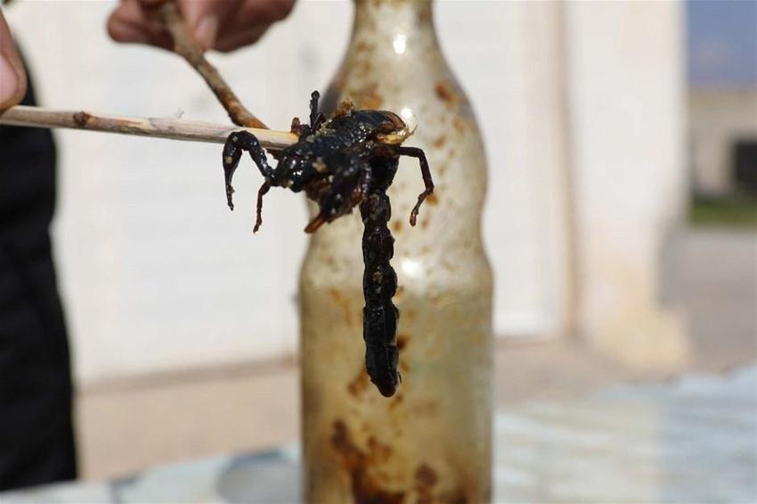 21 yıldır bunu yapıyor! İlk defa eşine uyguladı, zeytin yağı ile karıştırıp...