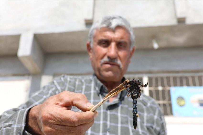 21 yıldır bunu yapıyor! İlk defa eşine uyguladı, zeytin yağı ile karıştırıp...