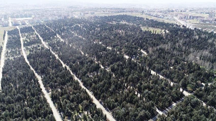 Mezarlıkta yer kalmadı! Belediye harekete geçti, böyle görüntülendi
