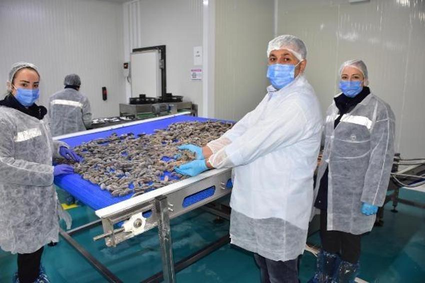 Yıllık 30 milyon dolar gelir sağlıyor! Türkler yemiyor