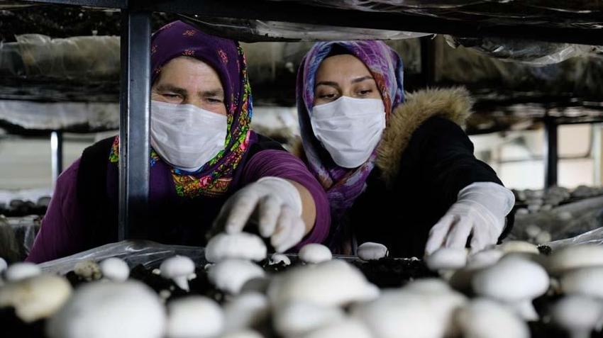 Gelin-kaynana birlikte üretiyor! 1 ayda tamamlanıyor, 50 bin TL...