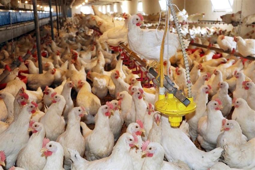 Coşkun Sabah'ın yeni işi belli oldu!