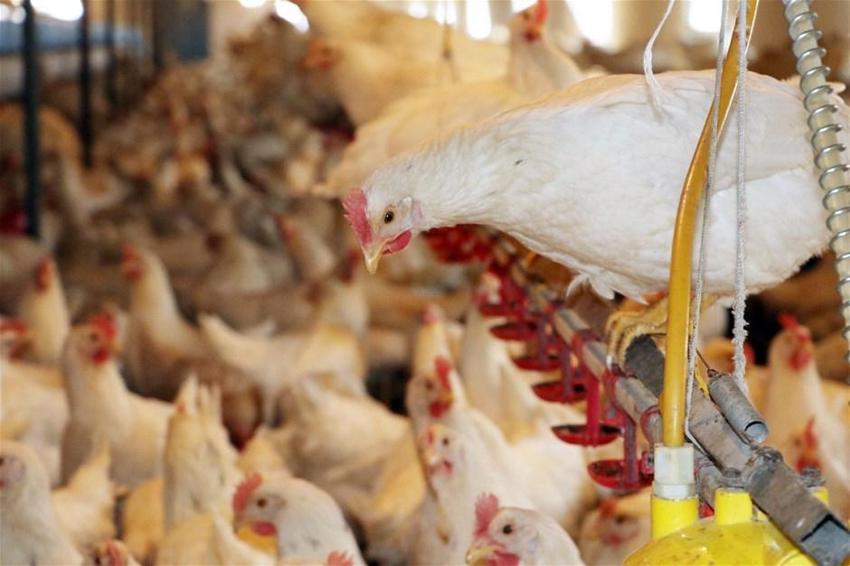 Coşkun Sabah'ın yeni işi belli oldu!
