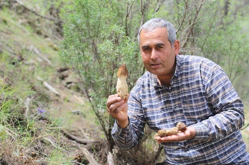 Fiyatını duyan dağlara akın etti, çok değerli! 2000 liraya satılıyor...