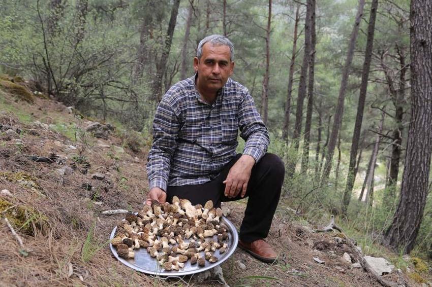 Fiyatını duyan dağlara akın etti, çok değerli! 2000 liraya satılıyor...
