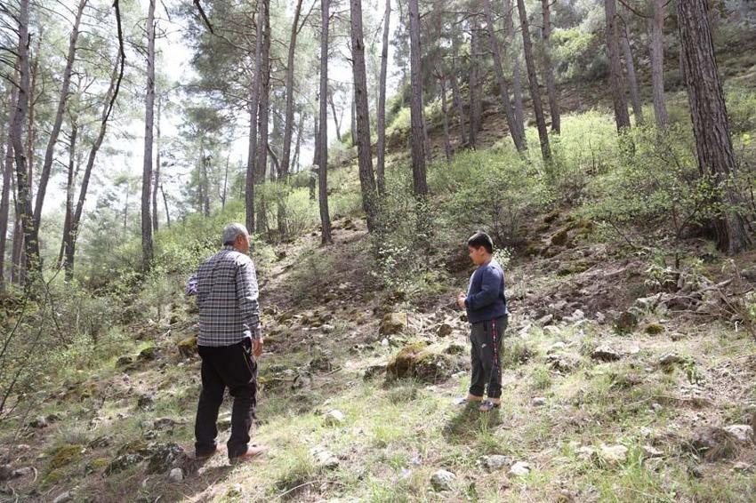 Fiyatını duyan dağlara akın etti, çok değerli! 2000 liraya satılıyor...