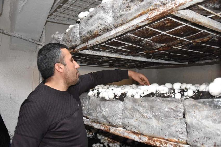 Yılda 240 ton üretiliyor! Çevre illere gönderiliyor... 'Satışlarımız düştü'