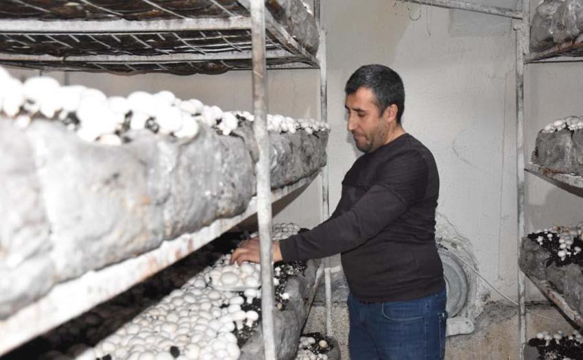Yılda 240 ton üretiliyor! Çevre illere gönderiliyor... 'Satışlarımız düştü'