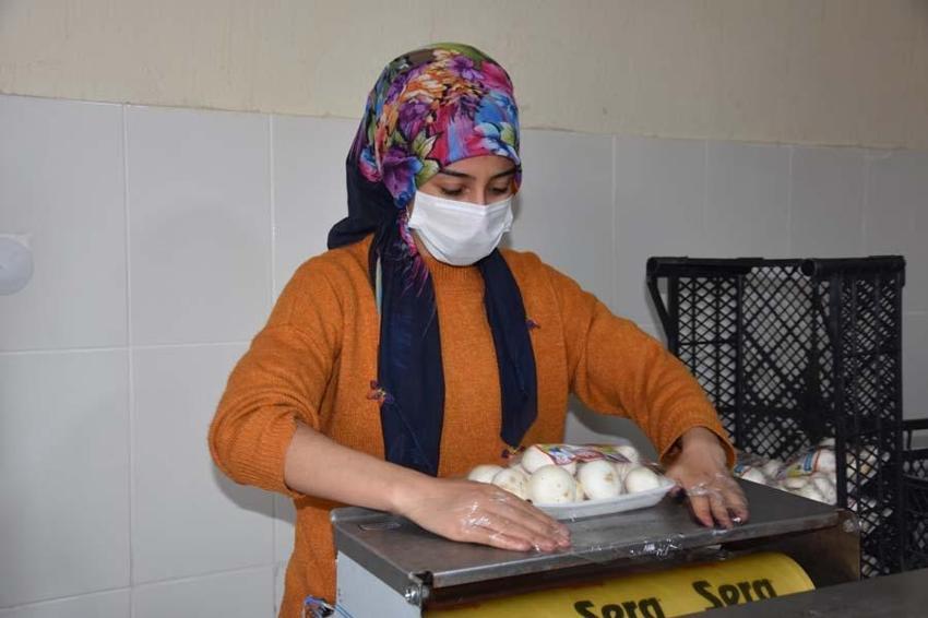Yılda 240 ton üretiliyor! Çevre illere gönderiliyor... 'Satışlarımız düştü'