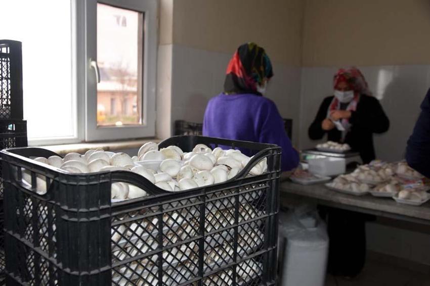 Yılda 240 ton üretiliyor! Çevre illere gönderiliyor... 'Satışlarımız düştü'