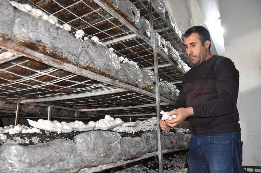 Yılda 240 ton üretiliyor! Çevre illere gönderiliyor... 'Satışlarımız düştü'