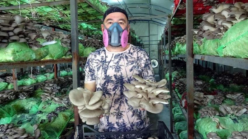 Hobi olarak başladı, mesleği oldu! Fiyatı 10 lira, 60 gün sürüyor...