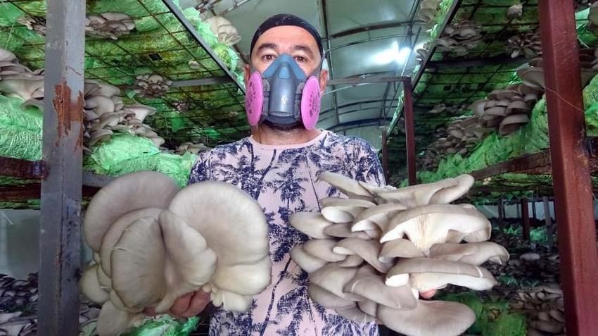 Hobi olarak başladı, mesleği oldu! Fiyatı 10 lira, 60 gün sürüyor...