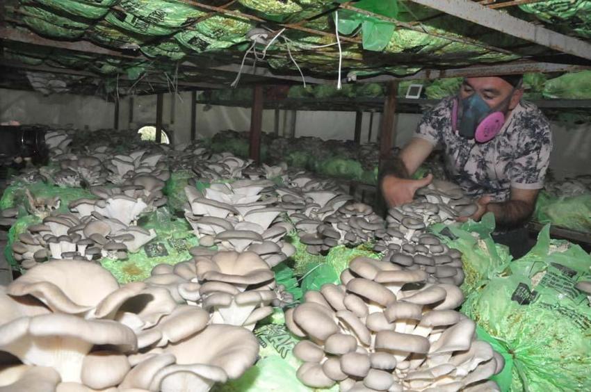 Hobi olarak başladı, mesleği oldu! Fiyatı 10 lira, 60 gün sürüyor...