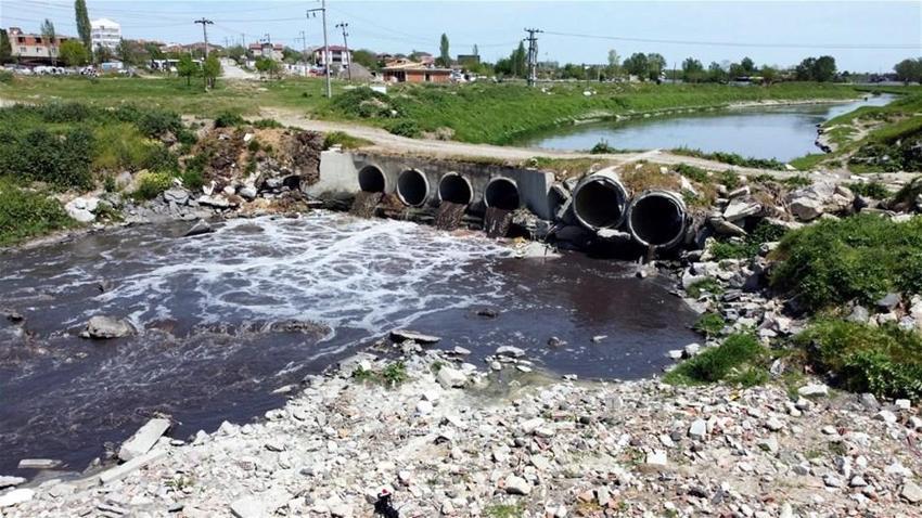 Derede ürküten görüntü! Ağır koku yayıyor