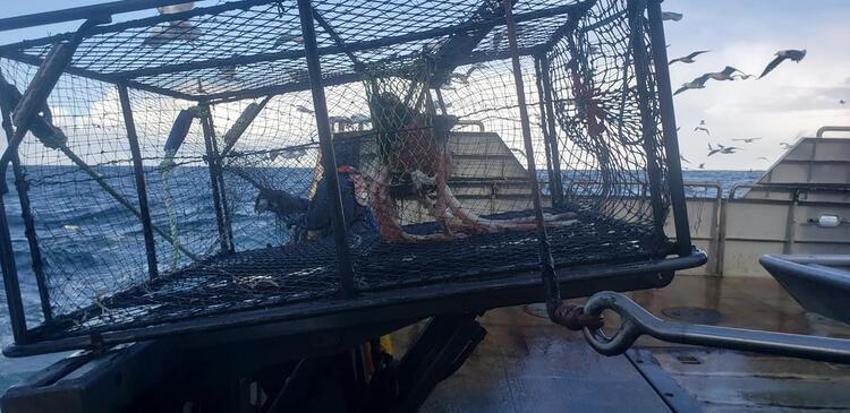 Balık yakaladı, ağzını açtı... Gördüğü karşısında şoka girdi!