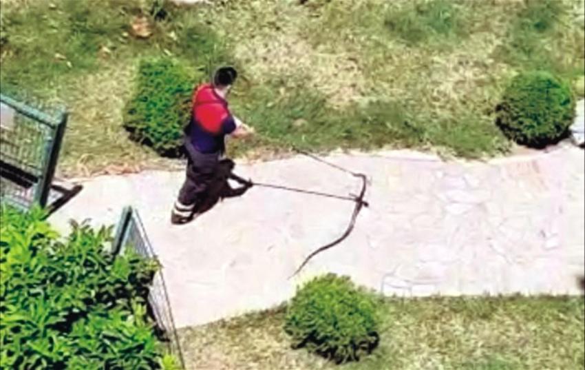 Dünyanın en zehirlisi! Çiftçiler şok oldu, birbirlerine sarılmış halde...