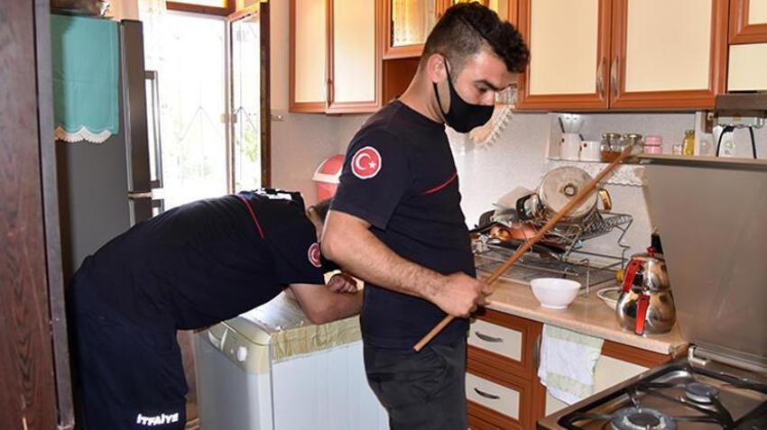 Dünyanın en zehirlisi! Çiftçiler şok oldu, birbirlerine sarılmış halde...
