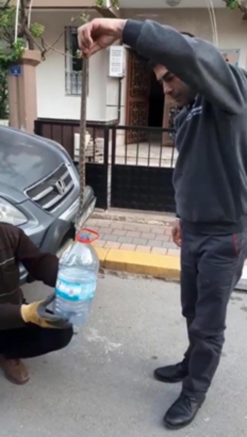 Dünyanın en zehirlisi! Çiftçiler şok oldu, birbirlerine sarılmış halde...