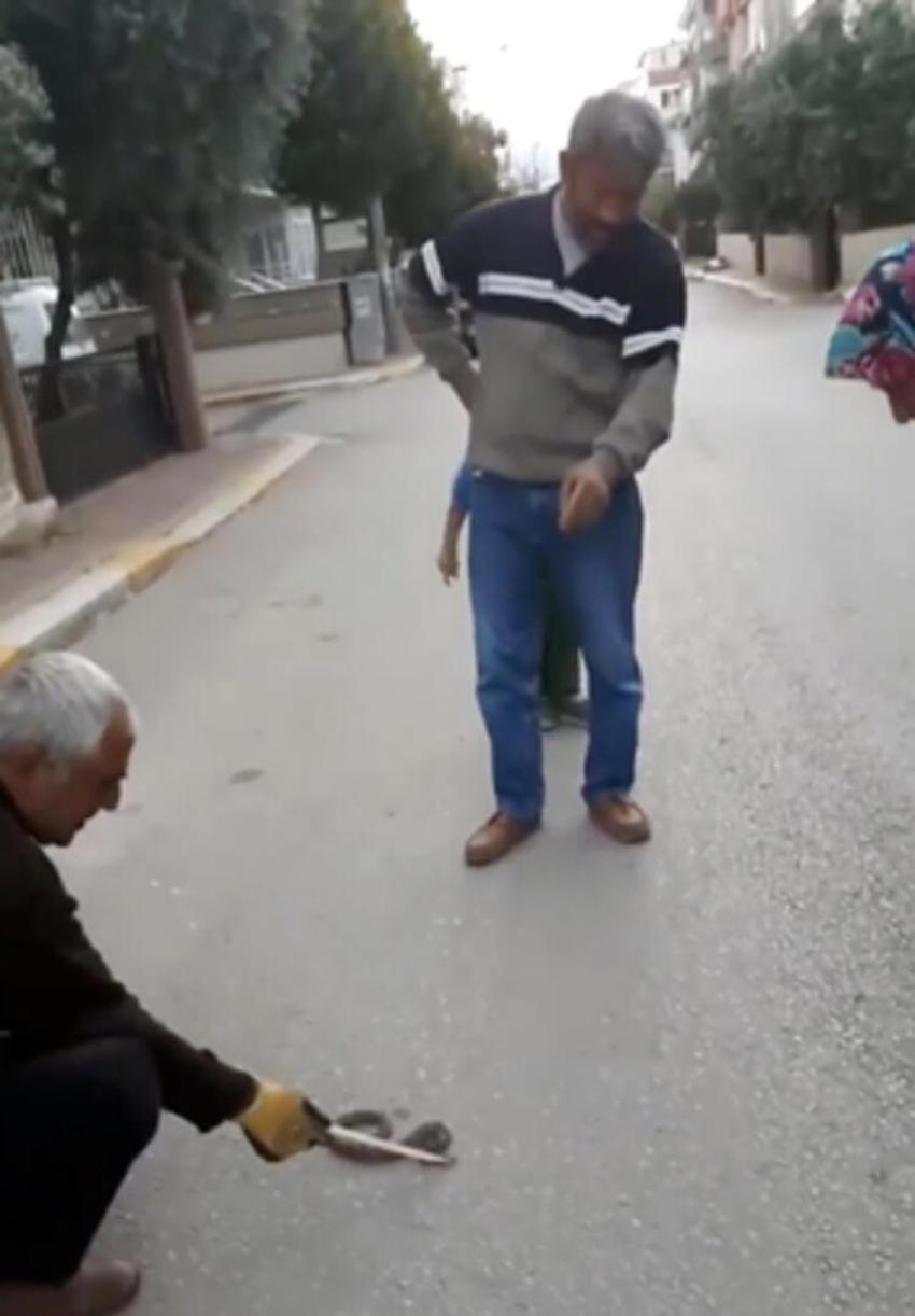 Dünyanın en zehirlisi! Çiftçiler şok oldu, birbirlerine sarılmış halde...