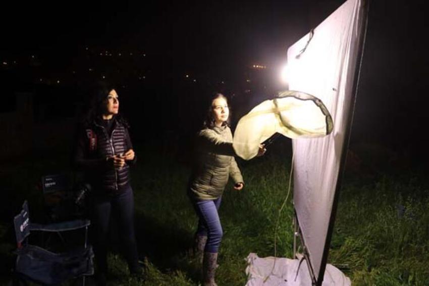 20 yıldır Amanoslar'da peşinde! Kadın akademisyenler gece kelebeklerinin izini sürüyor...