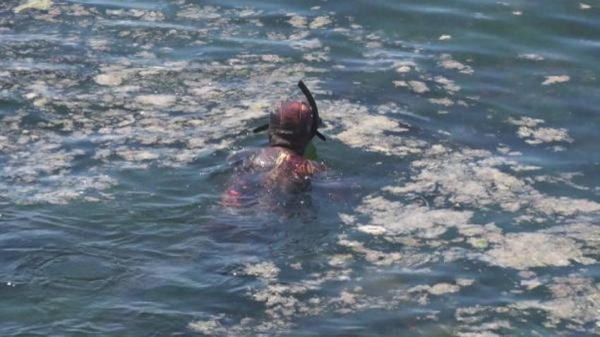 Marmara'da korkutan görüntü!