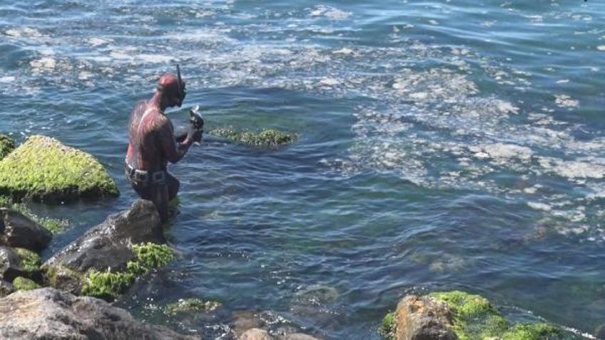 Marmara'da korkutan görüntü!