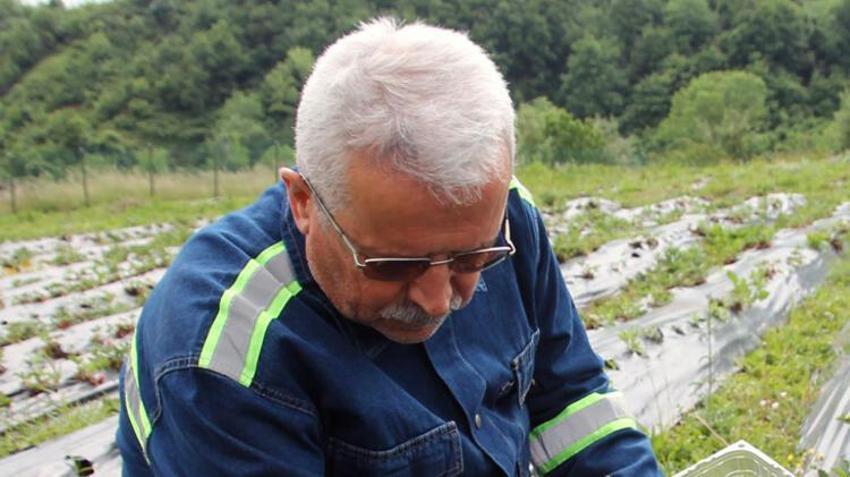 Tarladan çıkar çıkmaz satılıyor! Kilosu 60 lira ama siparişlere yetişme şansı yok...
