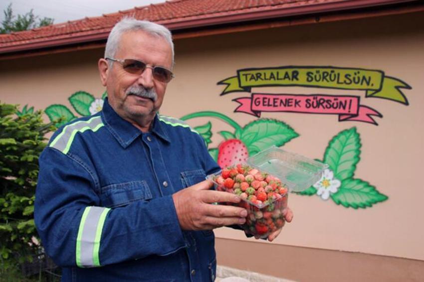 Tarladan çıkar çıkmaz satılıyor! Kilosu 60 lira ama siparişlere yetişme şansı yok...