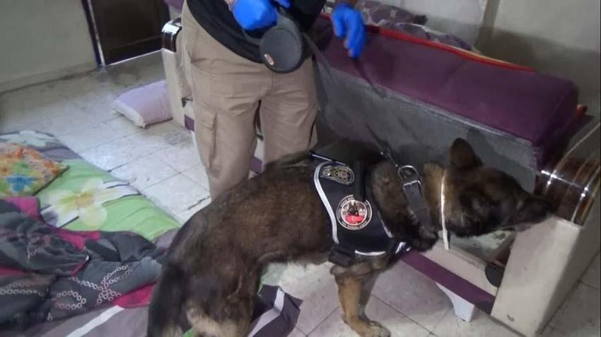 Yol kenarında iğrenç anlar! 70 farklı şifre kullanmışlar: Manuş, gılleci, puşka...