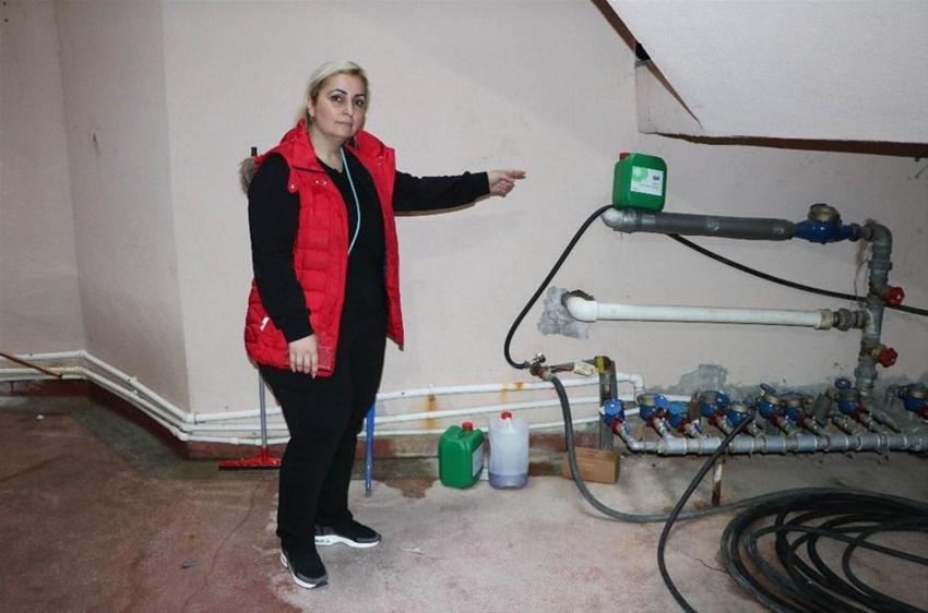 Köpeklere eziyet eden akademisyenden şoke eden sözler!