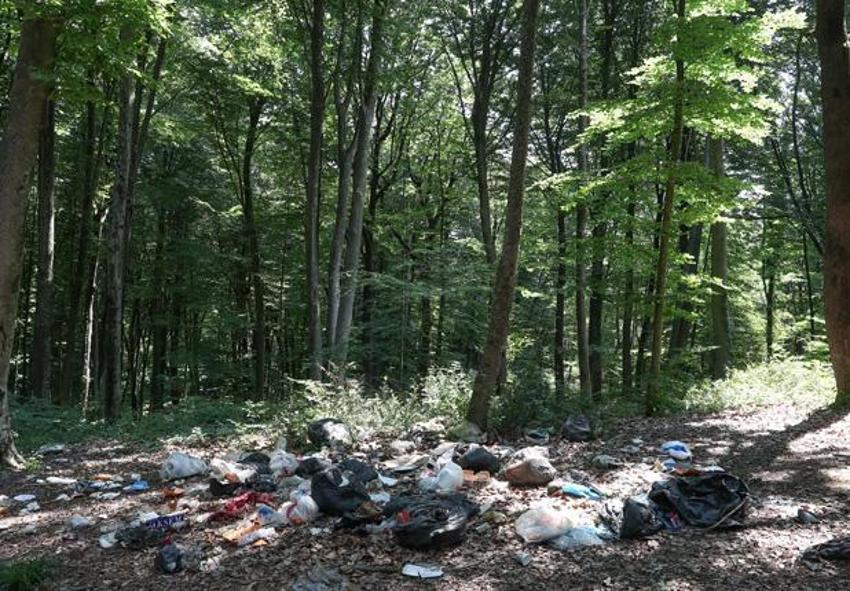 İstanbul’un akciğerlerini piknikçiler çöplüğü çevirdi!
