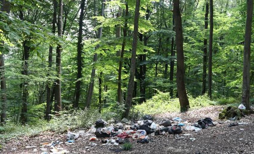 İstanbul’un akciğerlerini piknikçiler çöplüğü çevirdi!
