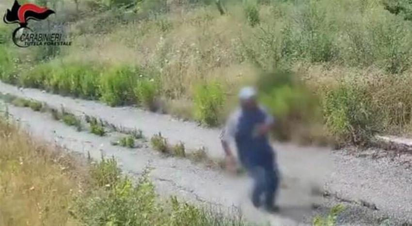 İtalya'da bir günde 800 yangın çıktı! Kundakçının görüntüleri ülkede şok etkisi yarattı...