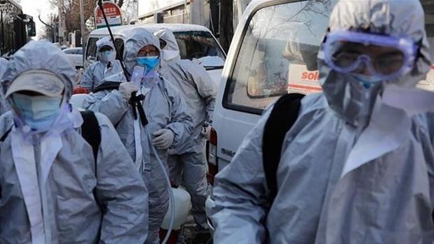 'Yarasa kadın'dan korkutan koronavirüs uyarısı! Salgında ‘kıyamet günü' çok yakın