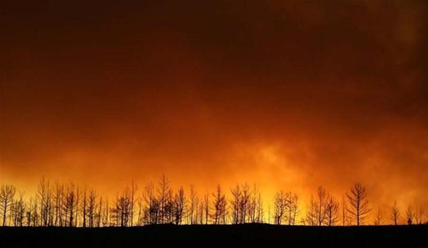 Türkiye'de felaketler peş peşe! Dünyanın dört bir yanı yangınlarla mücadele ediyor: NASA görüntüleri paylaştı...