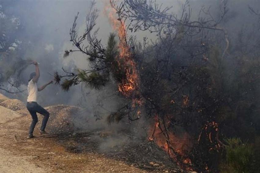 Türkiye'de felaketler peş peşe! Dünyanın dört bir yanı yangınlarla mücadele ediyor: NASA görüntüleri paylaştı...