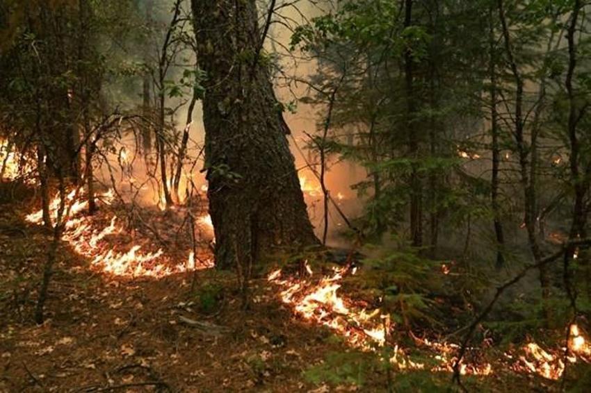 Türkiye'de felaketler peş peşe! Dünyanın dört bir yanı yangınlarla mücadele ediyor: NASA görüntüleri paylaştı...